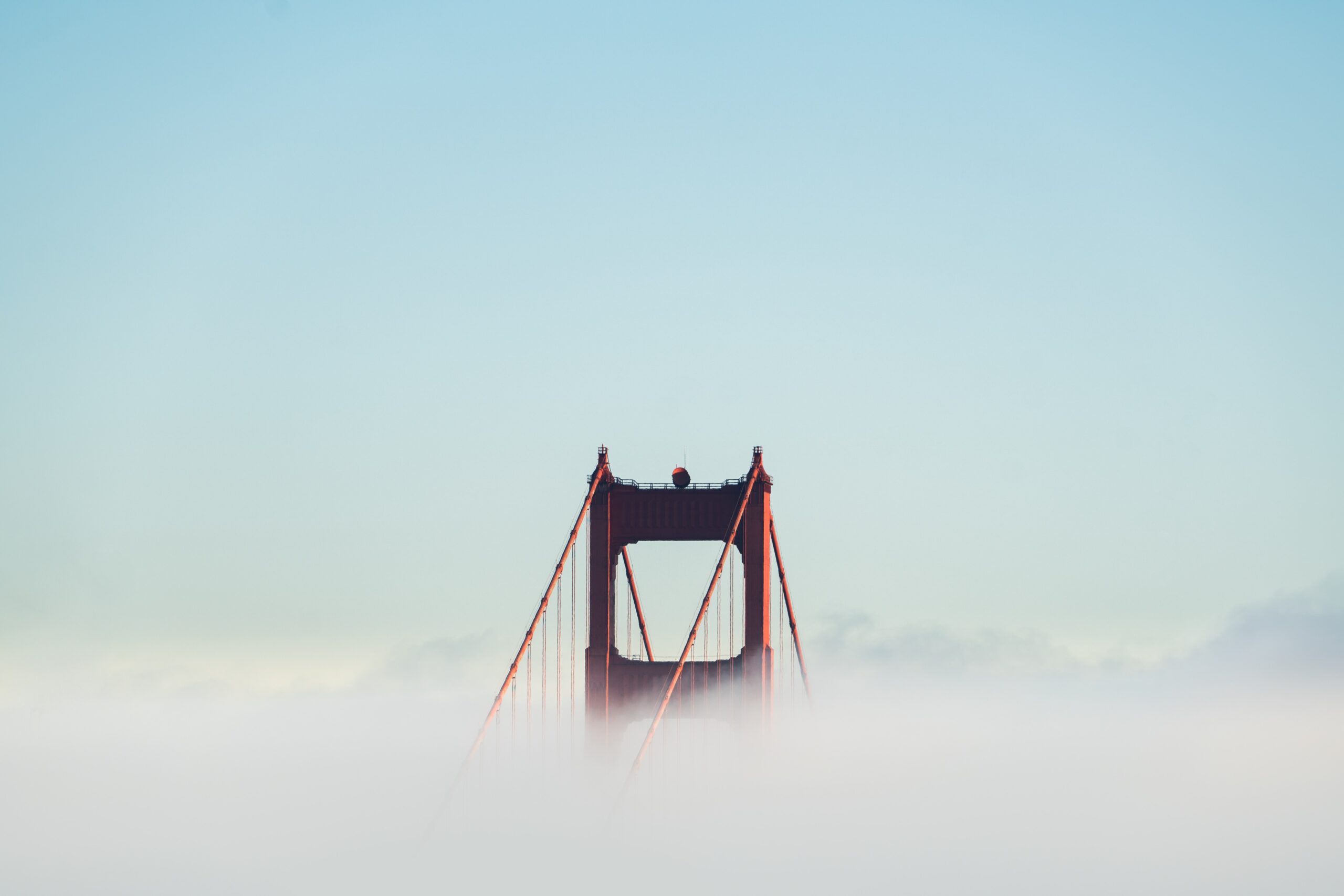 Leifbridge news page image